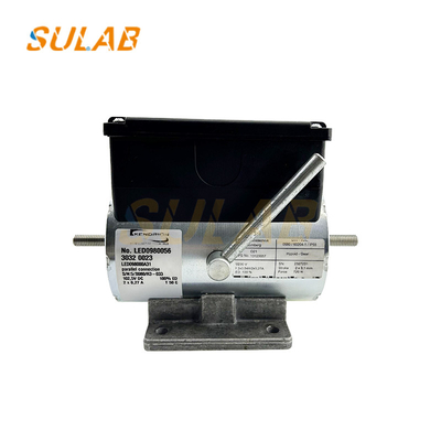 FERRA DELL'ELETTORE FERRA ELETTROMAGNETICA FERRA D'OSSA FERRA DELL'ELETTROMAGNETICO FERRA O21
