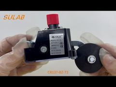 Interruttore di finecorsa per carichi pesanti CR137-BZ-T2 con grado di protezione IP67, contatti a scatto 2×SPDT e rullo in acciaio L
